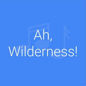 richard miller ah wilderness|ah wilderness wiki.